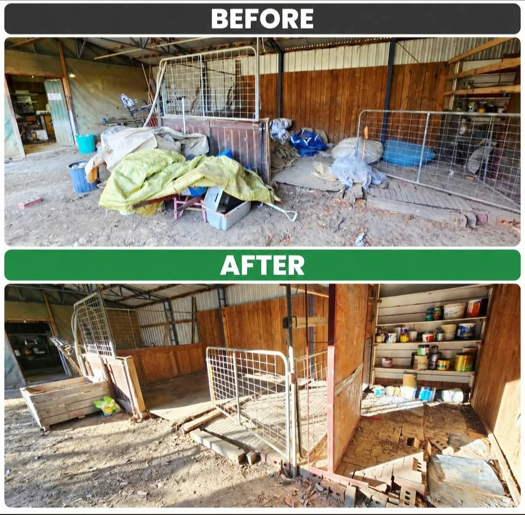 Before and after clearing bags and loose rubbish from a shed